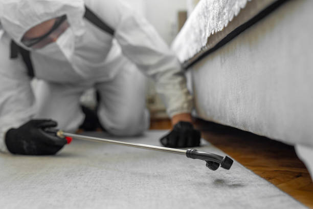 Professional Bed Bug Control technician working in Buies Creek, NC